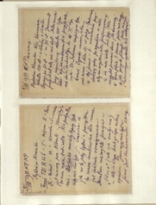 Listy Stanisława Ignacego Witkiewicza do żony Jadwigi z Unrugów Witkiewiczowej. List z 01.08.1933. List z 03.08.1933.