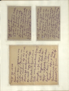 Listy Stanisława Ignacego Witkiewicza do żony Jadwigi z Unrugów Witkiewiczowej. Kartka pocztowa z 14.08.1933. Kartka pocztowa z 15.08.1933. List z 16.08.1933.