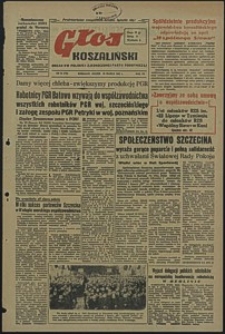 Głos Koszaliński. 1951, marzec, nr 81
