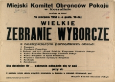 [Afisz] Wielkie Zebranie Wyborcze