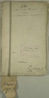 Die Duplicate des Kirchenbuchs von Prütznow