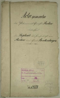 Die Duplicate des Kirchenbuchs von Reckow und Gross Borckenhagen