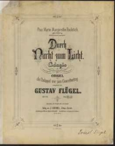 Durch Nacht zum Licht : Adagio für Orgel : als Nachspiel wie zum Concertvortrag : Op.113