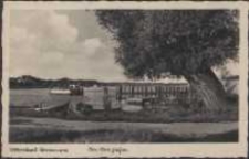 Ostseebad Dievenow, An der Fähre