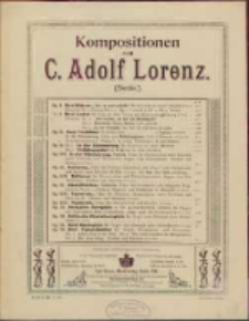 Acht Nachspiele : für Orgel : zum Gebrauch beim Gottesdienste : Op. 55