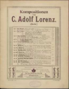 Sechzehn Vorspiele : in den gebräuchlichsten Tonarten : für Orgel : zur Anwendung beim Gottesdienst, einige auch für Harmonium : Op. 53