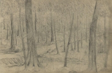 [Szkicownik Ernsta Simona. Cz. II, 1930 - IX.1932]