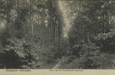 Berlinchen (Neumark), Partie bei der Oberförsterei Neuhaus