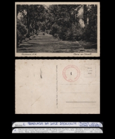 Kolekcja oryginalnych pocztówek Dębna lata 1897-1945 zakup własny