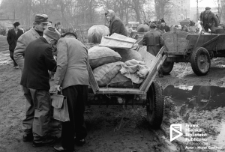 Dostawa na Turzyn, Szczecin '61
