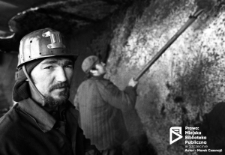 Port szczeciński zimą