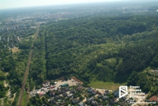 Puszcza Bukowa w Szczecinie '08