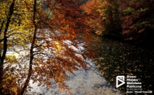 Jezioro Szmaragdowe w Szczecinie '09