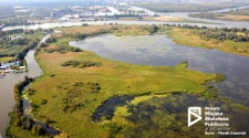 Jezioro Dąbie w Szczecinie '10