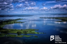 Jezioro Dąbie, panorama '11