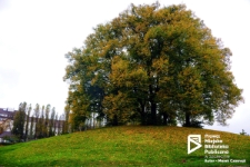 Wzgórze Napoleona w Szczecinie '14