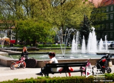 Jasne Błonia wiosną, Szczecin '19