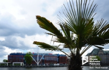 Nabrzeże Celne, Szczecin '20