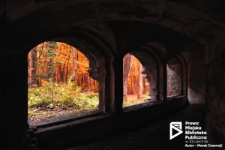 Ruiny wieży Quistorpa, Szczecin '09