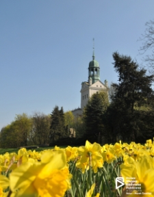 Zamek Książąt Pomorskich, wiosną, Szczecin '09