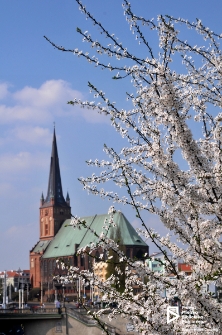 Bazylika św. Jakuba, Szczecin '09