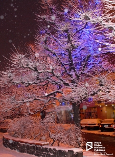 Aleja Papieża Jana Pawła II, Szczecin, grudzień '09