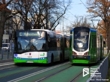 Komunikacja miejska, Szczecin '12