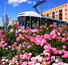 Plac Żołnierza Polskiego, Szczecin '19