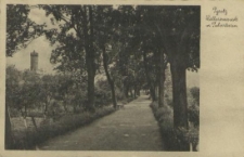 Pyritz, Wallpromenade mit Pulverturm