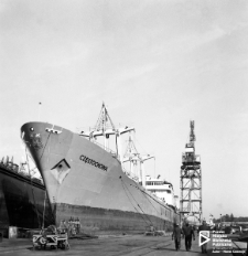 Drobnicowiec MS Częstochowa, Szczecin '70