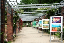 Ogród Różany (Różanka) w Szczecinie '10