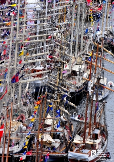 The Tall Ships’ Races, Szczecin '13