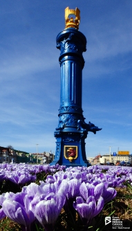 Zabytkowa pompa uliczna przy Trasie Zamkowej, Szczecin '19