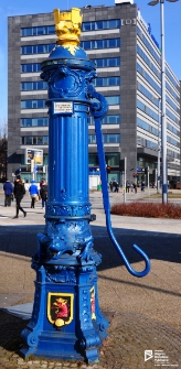 Zabytkowa pompa uliczna przy ul. gen. Ludomiła Rayskiego, Szczecin '19