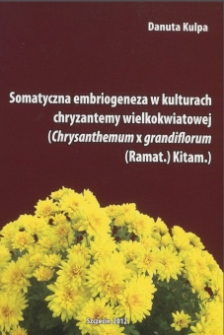 Somatyczna embriogeneza w kulturach chryzantemy wielkokwiatowej (Chrysanthemum x grandiflorum (Ramat.) Kitam.)