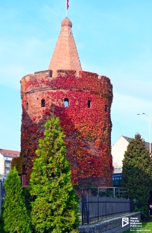 Baszta Siedmiu Płaszczy (Panieńska) w Szczecinie '21