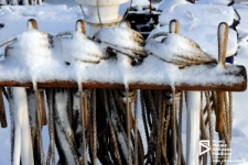 Liny przy nabrzeżu, Szczecin '11