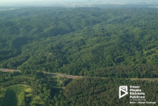 Puszcza Bukowa, zdjęcie lotnicze, Szczecin '08