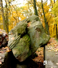 Ruiny wieży Quistorpa, Szczecin '09