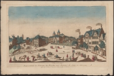 Vue d&rsquo;Optique Representant les Environs du Marche aux Chevaux de Stetin en Allemagne.