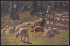 "Cuda Polskich Tatr": Na hali