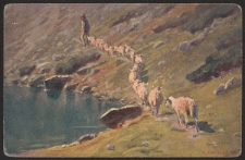 "Cuda Polskich Tatr": Powrót