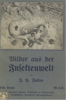 Bilder aus der Insektenwelt