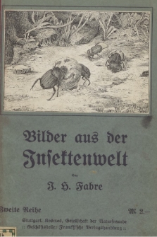 Bilder aus der Insektenwelt