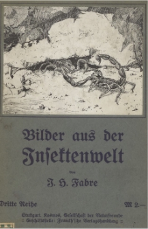 Bilder aus der Insektenwelt