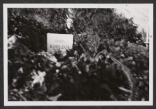 [Widok miejsca pochówku z wieńcami- zbliżenie]