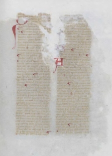 Quaestiones de quolibet