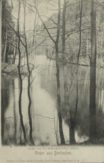 Gruss aus Berlinchen, Partie bei der Schwartz'schen Mühle