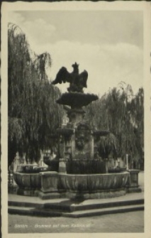 Stettin, Brunnen auf dem Roßmarkt
