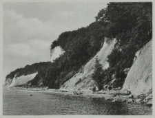 Kreideküste auf Rügen